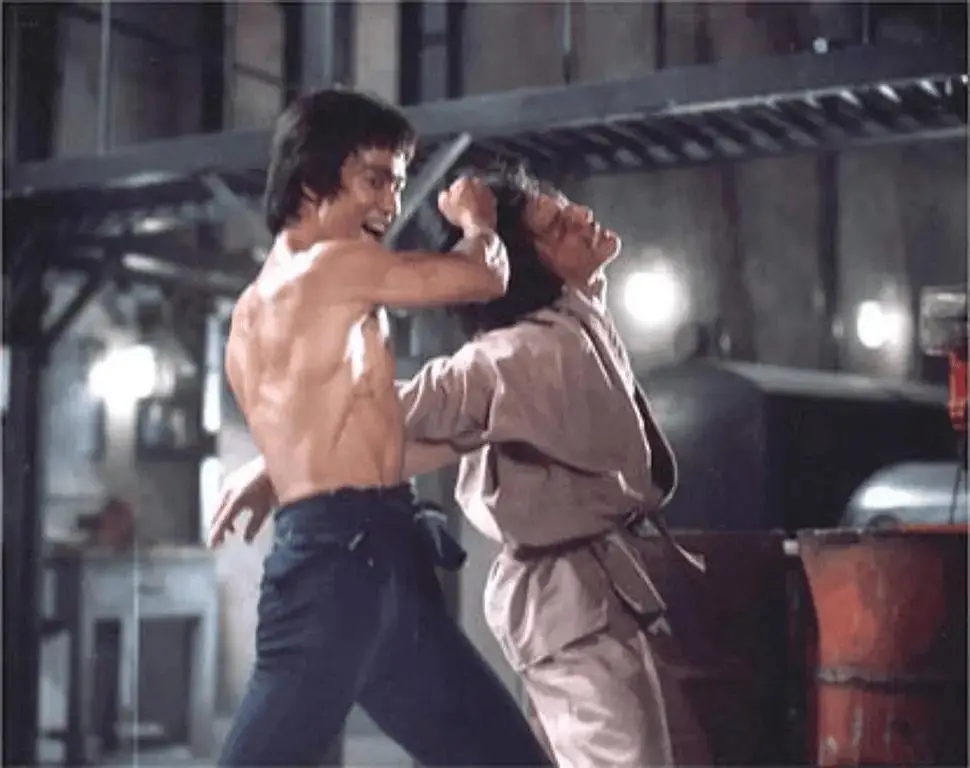 元彪的武道精神与人生哲学_元彪的武道精神与人生哲学_元彪的武道精神与人生哲学