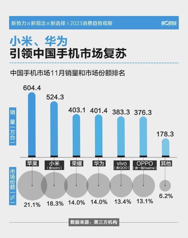 对小米手机的期待_小米手机如何满足年轻用户的期待？_小米手机市场需求
