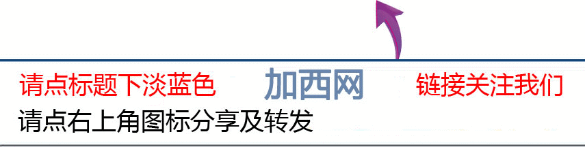 周星驰的家族故事与背景_周星驰背景家族故事在线观看_周星驰背景家族故事视频
