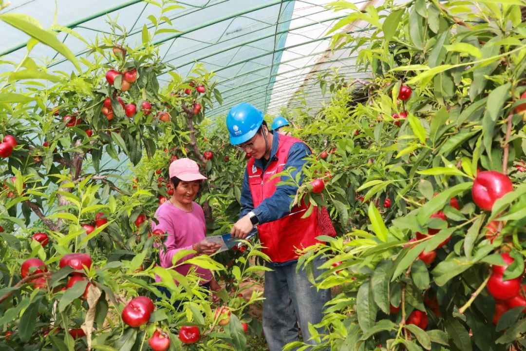 电力系统充电_充电站供电系统_如何在家中设置电力汽车充电站？