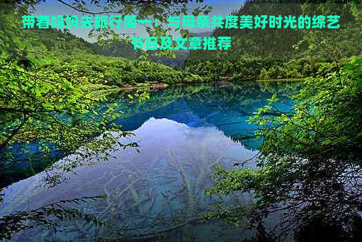 带着妈妈去旅行简一：与母亲共度美好时光的综艺节目及文章推荐