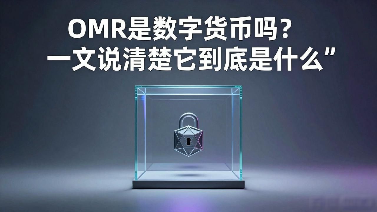 OMR数字货币_Omercoin项目风险_omr是数字货币吗