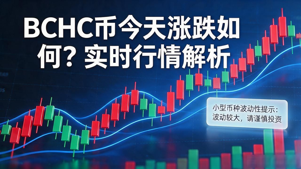 BCHC币今天涨跌如何？实时行情解析